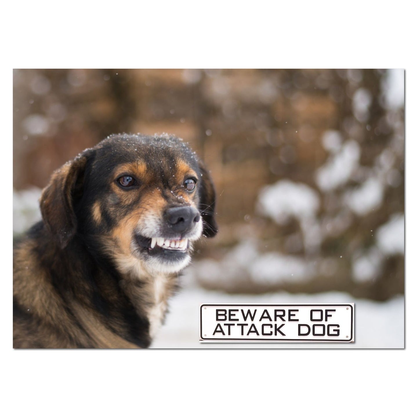 Beware Of Attack Dog Sign Solid Plastic 12 X 3