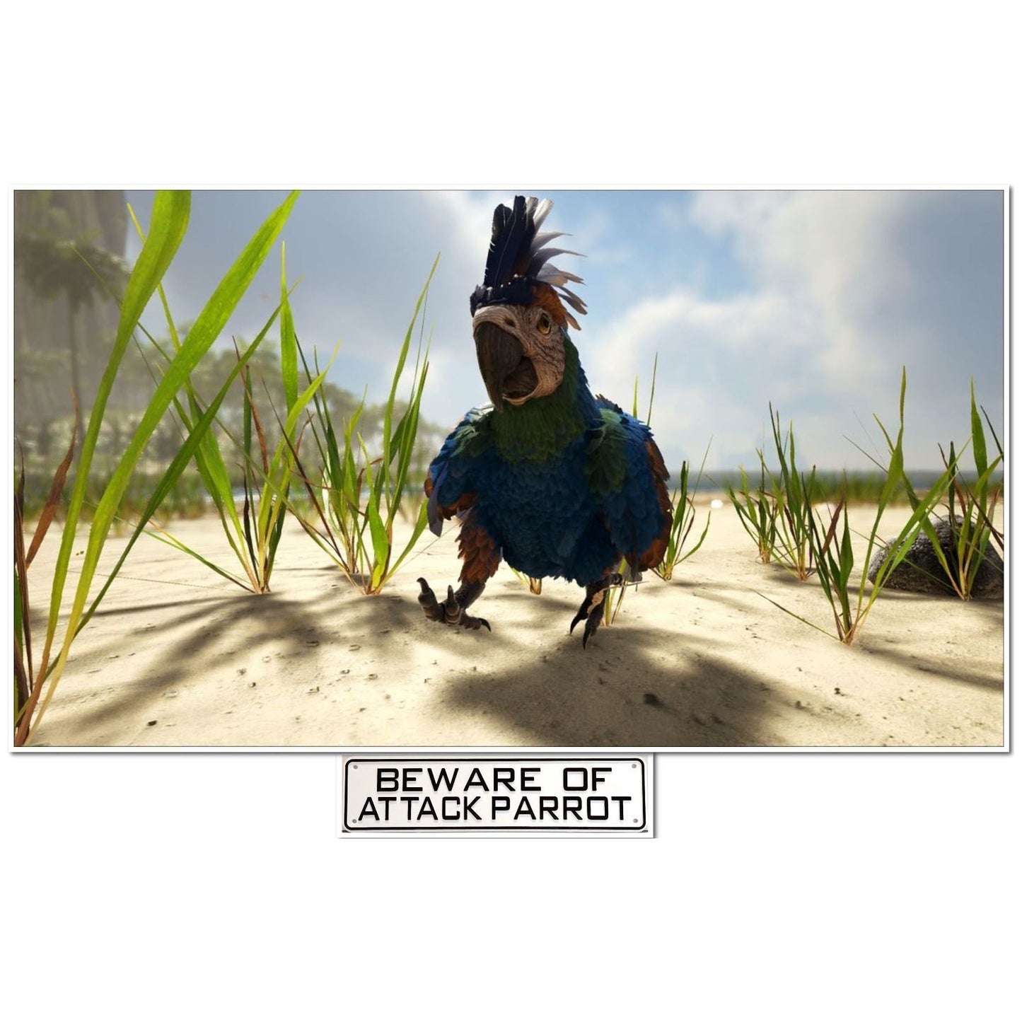 Beware Of Attack Parrot Sign Solid Plastic 12 X 3