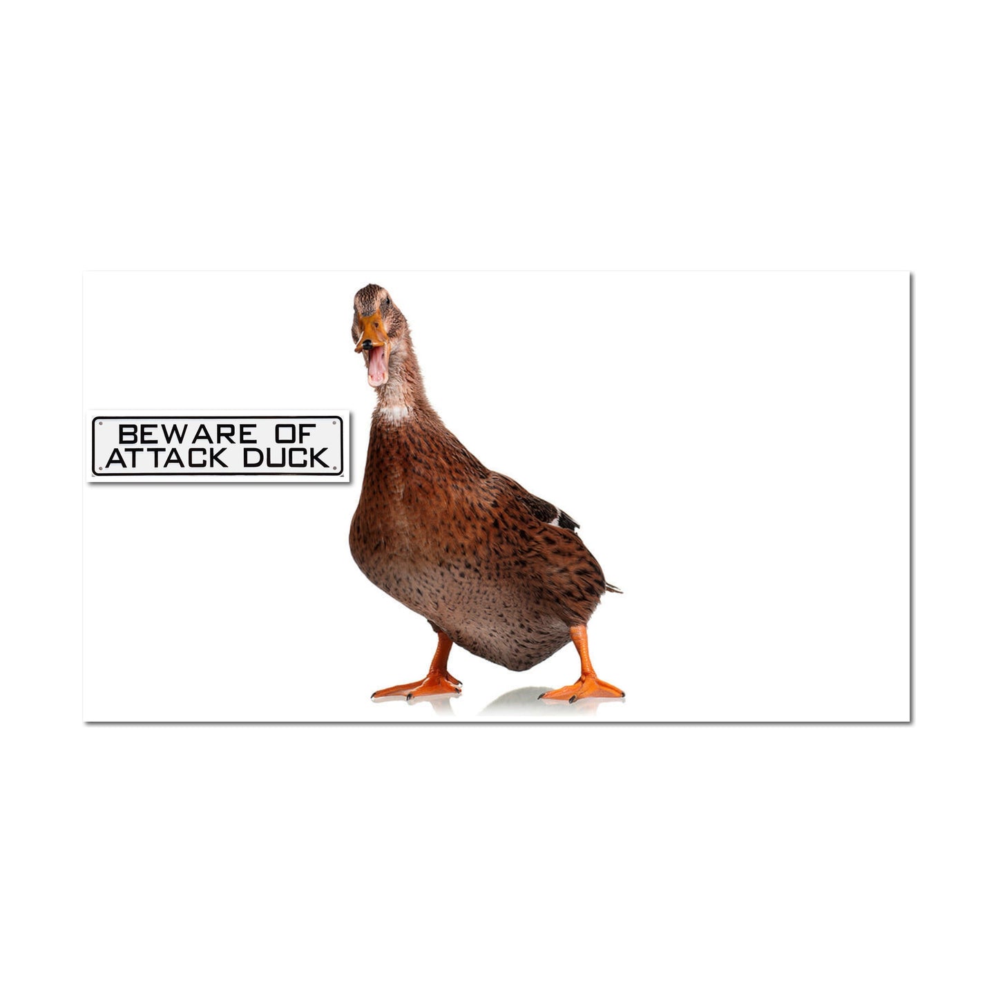Beware Of Attack Duck Sign Solid Plastic 12 X 3