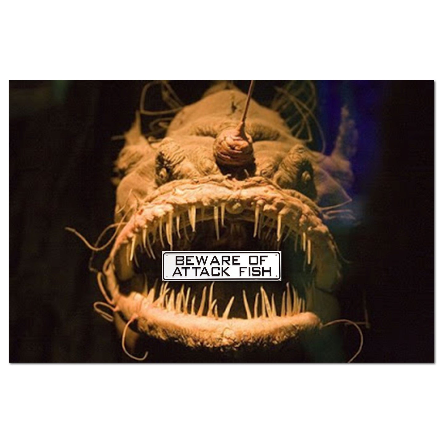 Beware Of Attack Fish Sign Solid Plastic 12 X 3