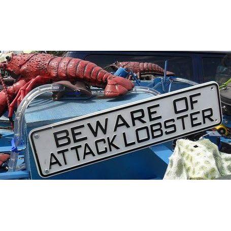 Beware of Attack Lobster Sign Solid Plastic 12 X 3