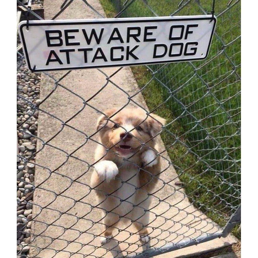 Beware Of Attack Dog Sign Solid Plastic 12 X 3