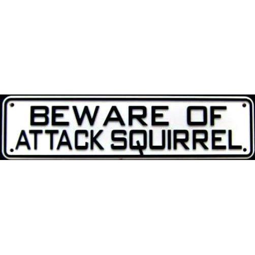 Beware of Attack Squirrel Sign Solid Plastic 12 X 3