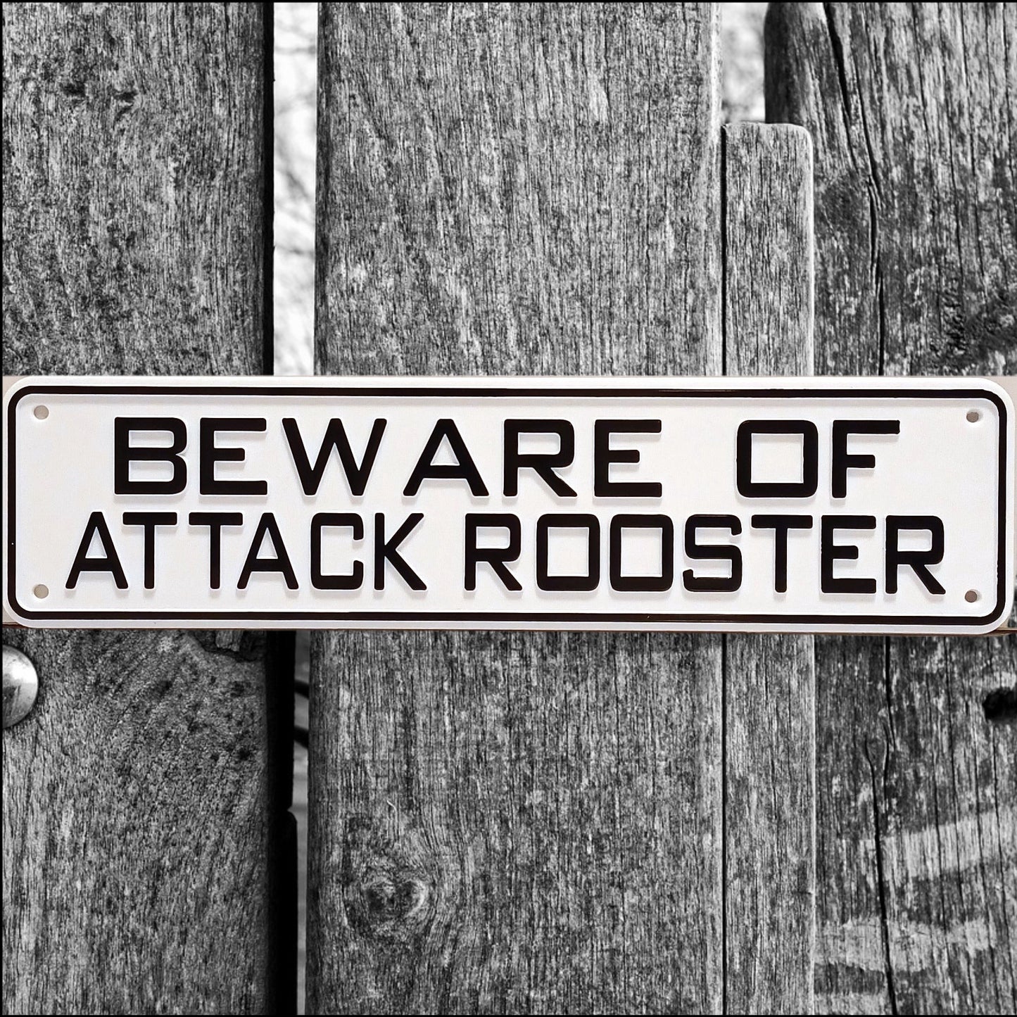 Beware Of Attack Rooster Sign Solid Plastic 12 X 3