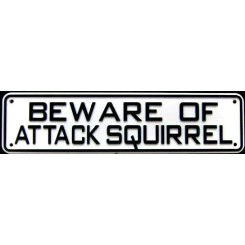 Beware of Attack Squirrel Sign Solid Plastic 12 X 3